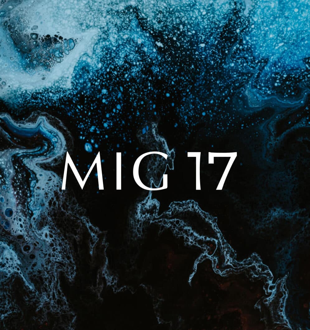 MIG 17